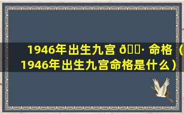 1946年出生九宫 🌷 命格（1946年出生九宫命格是什么）